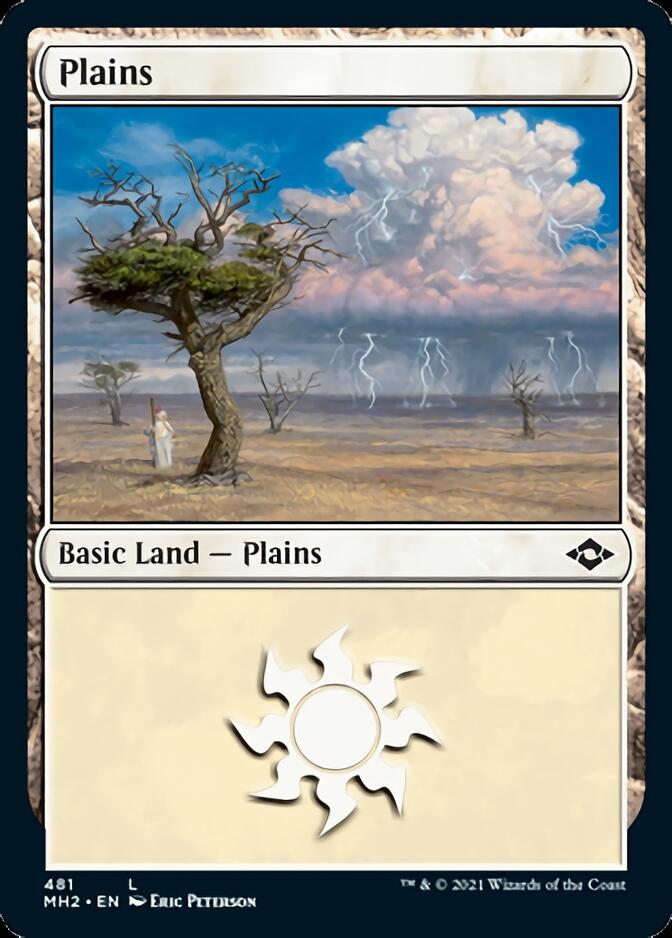 Plains (481) (Foil Etched) [Modern Horizons 2] | Game Master's Emporium (The New GME)