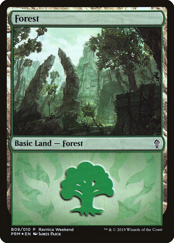 Forest (B08) [Ravnica Allegiance Guild Kit] | Game Master's Emporium (The New GME)