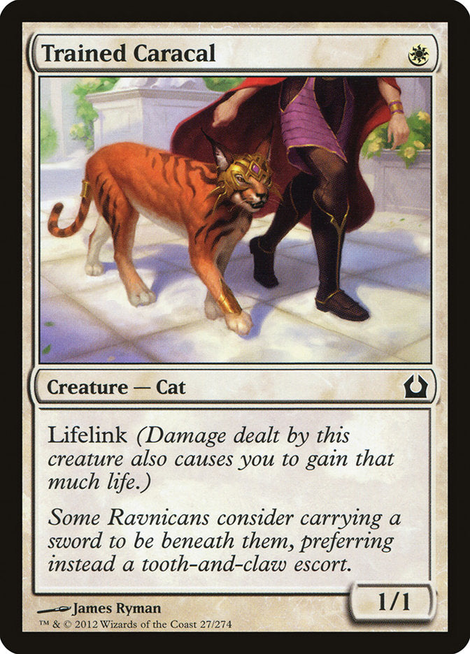 Trained Caracal [Return to Ravnica] | Game Master's Emporium (The New GME)