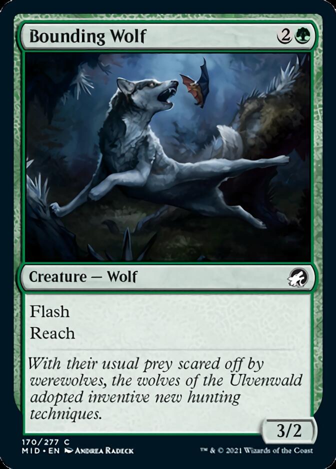 Bounding Wolf [Innistrad: Midnight Hunt] | Game Master's Emporium (The New GME)