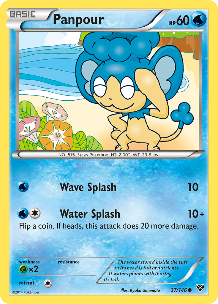 Panpour (37/146) [XY: Base Set] | Game Master's Emporium (The New GME)