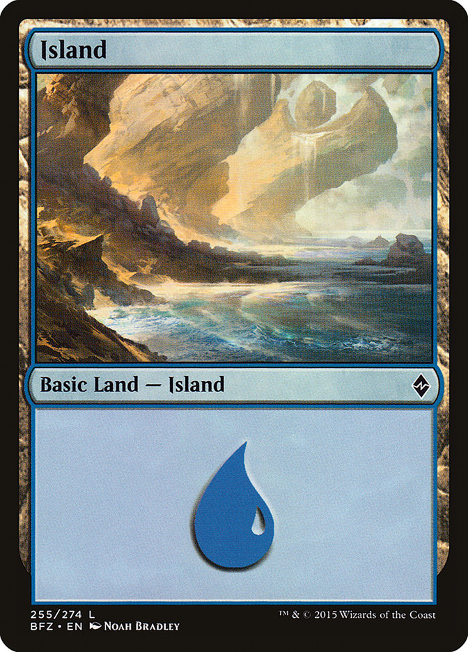 Island (255) [Battle for Zendikar] | Game Master's Emporium (The New GME)