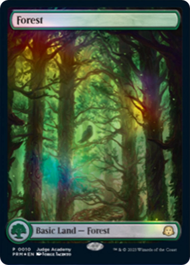 Forest [Judge Gift Cards 2023] | Game Master's Emporium (The New GME)