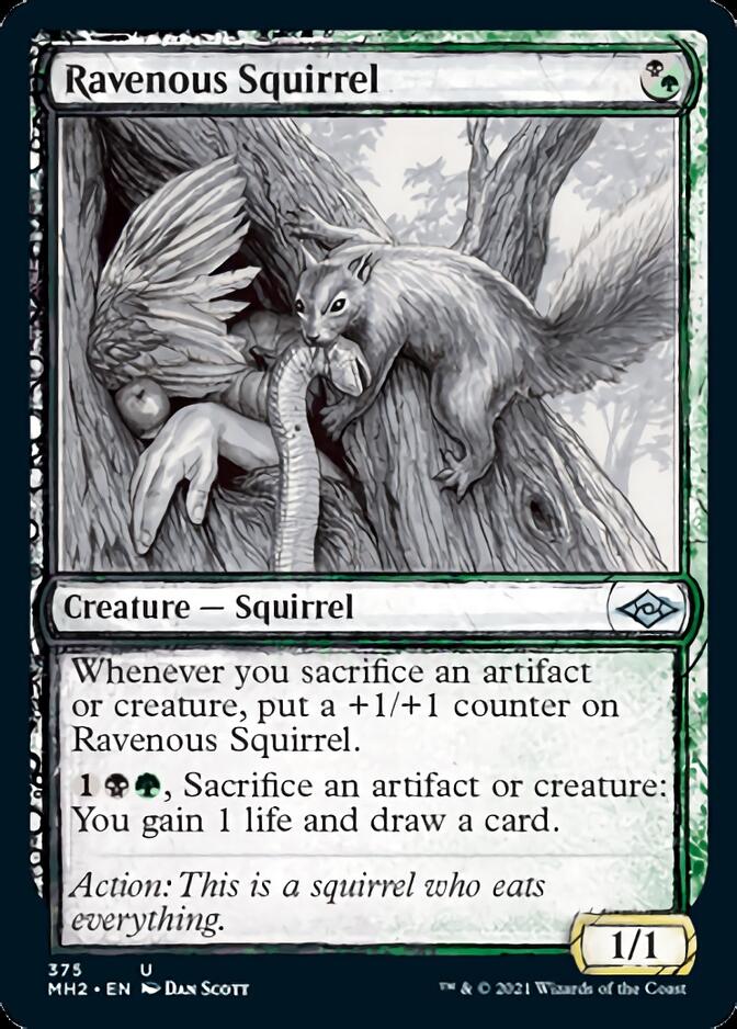 Ravenous Squirrel (Sketch) [Modern Horizons 2] | Game Master's Emporium (The New GME)