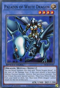 Paladin of White Dragon [SBCB-EN185] Common | Game Master's Emporium (The New GME)