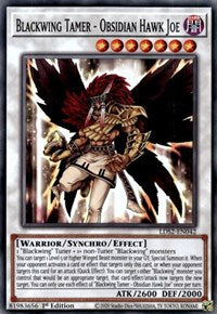 Blackwing Tamer - Obsidian Hawk Joe [LDS2-EN042] Common | Game Master's Emporium (The New GME)