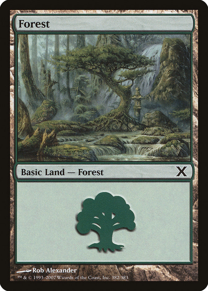 Forest (382) [Tenth Edition] | Game Master's Emporium (The New GME)