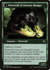 Sage of Ancient Lore // Werewolf of Ancient Hunger [Shadows over Innistrad Prerelease Promos] | Game Master's Emporium (The New GME)