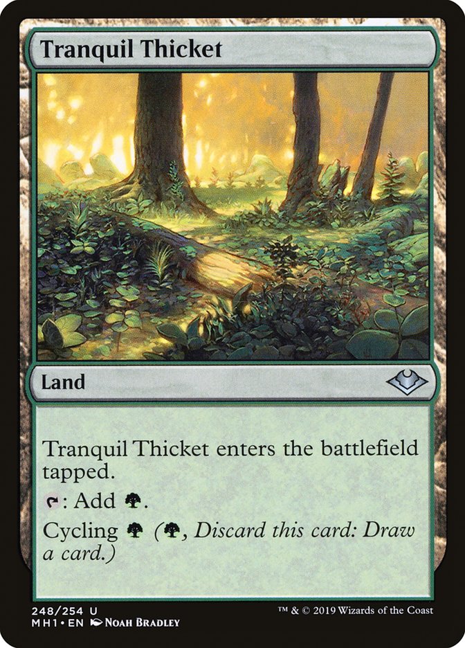 Tranquil Thicket [Modern Horizons] | Game Master's Emporium (The New GME)