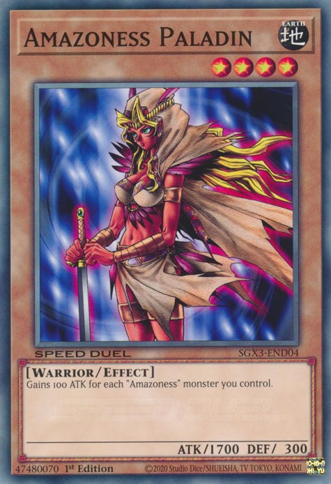 Amazoness Paladin [SGX3-END04] Common | Game Master's Emporium (The New GME)