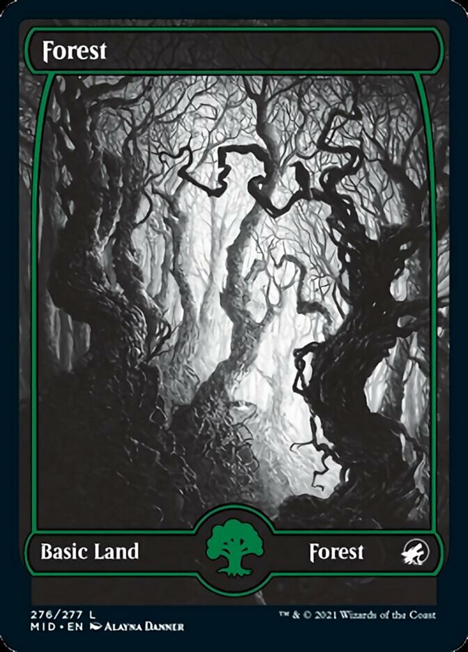 Forest (276) [Innistrad: Midnight Hunt] | Game Master's Emporium (The New GME)