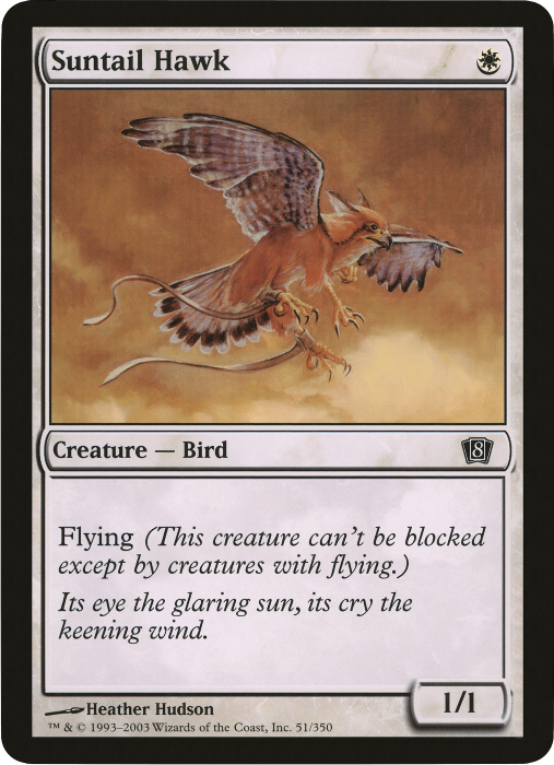 Suntail Hawk (Oversized) [Eighth Edition Box Topper] | Game Master's Emporium (The New GME)