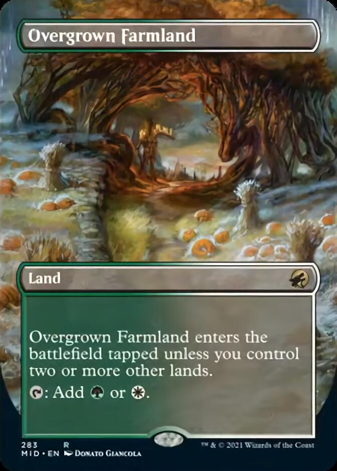 Overgrown Farmland (Borderless Alternate Art) [Innistrad: Midnight Hunt] | Game Master's Emporium (The New GME)