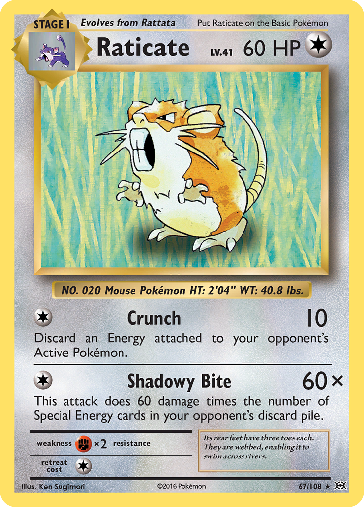 Raticate (67/108) [XY: Evolutions] | Game Master's Emporium (The New GME)