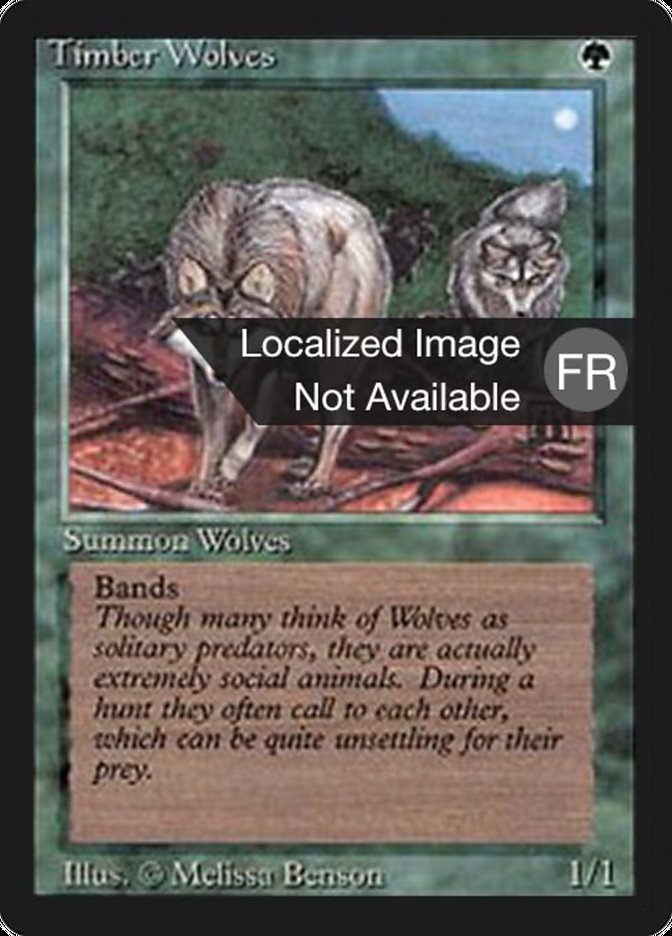 Timber Wolves [Foreign Black Border] | Game Master's Emporium (The New GME)