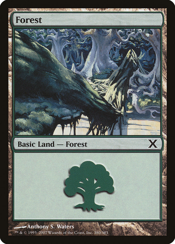 Forest (380) [Tenth Edition] | Game Master's Emporium (The New GME)