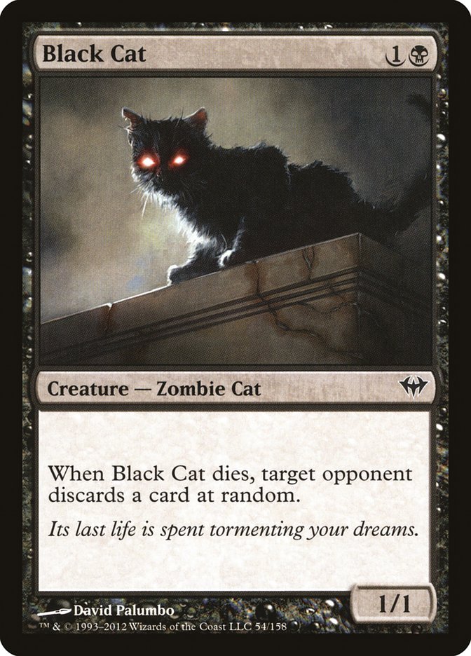 Black Cat [Dark Ascension] | Game Master's Emporium (The New GME)