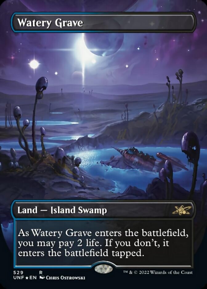 Watery Grave (Borderless) (Galaxy Foil) [Unfinity] | Game Master's Emporium (The New GME)