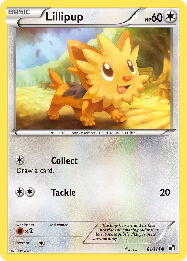 Lillipup (81/114) [Black & White: Base Set] | Game Master's Emporium (The New GME)