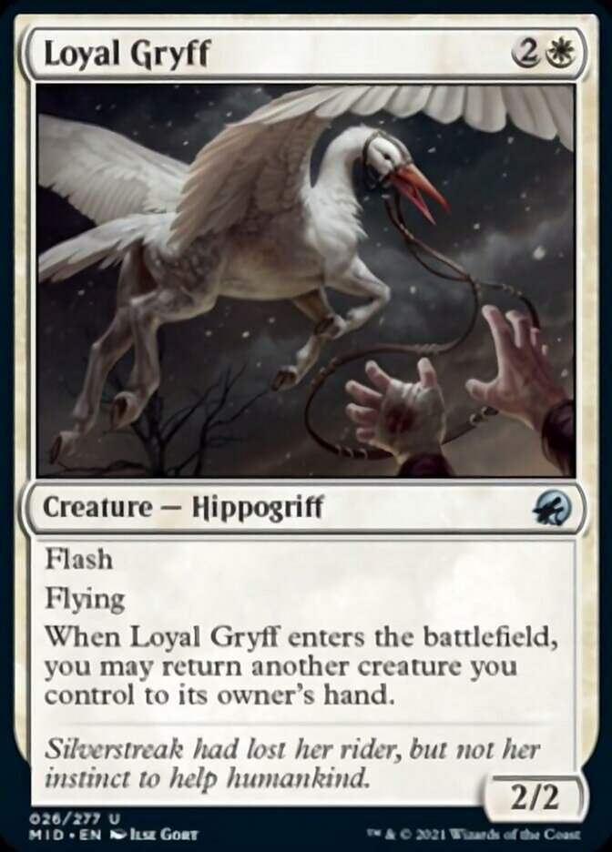 Loyal Gryff [Innistrad: Midnight Hunt] | Game Master's Emporium (The New GME)
