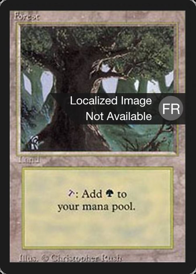 Forest (A) [Foreign Black Border] | Game Master's Emporium (The New GME)