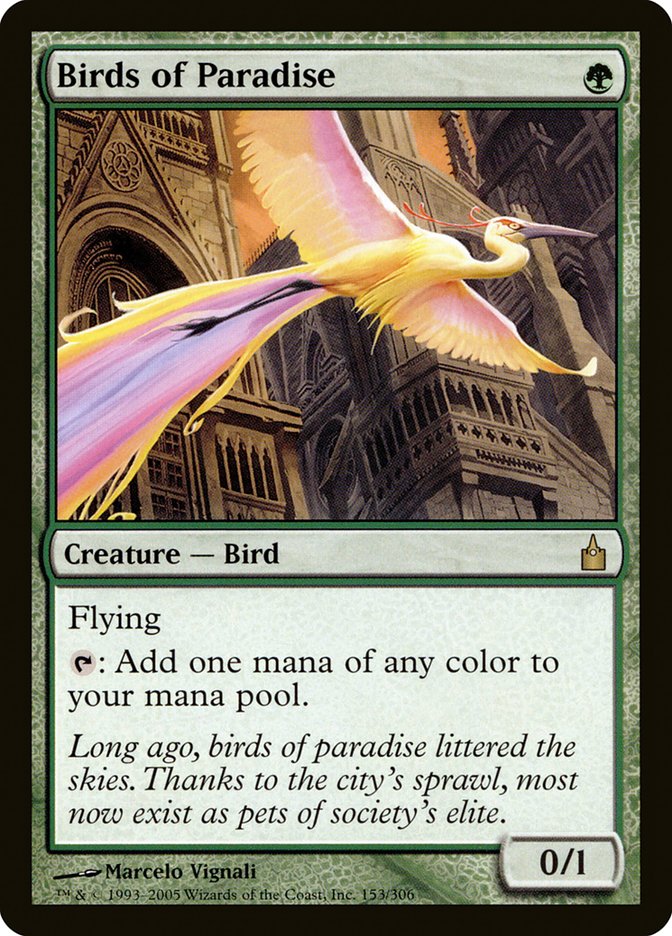 Birds of Paradise [Ravnica: City of Guilds] | Game Master's Emporium (The New GME)