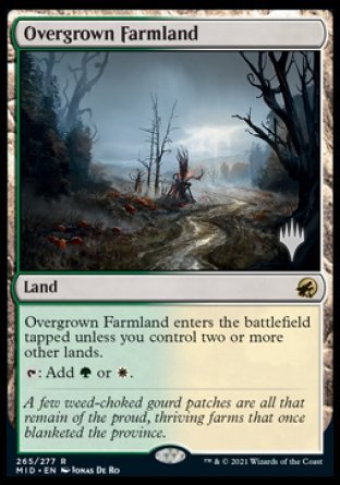 Overgrown Farmland (Promo Pack) [Innistrad: Midnight Hunt Promos] | Game Master's Emporium (The New GME)