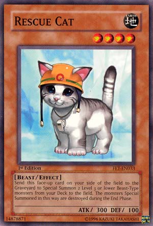 Rescue Cat [FET-EN033] Common | Game Master's Emporium (The New GME)