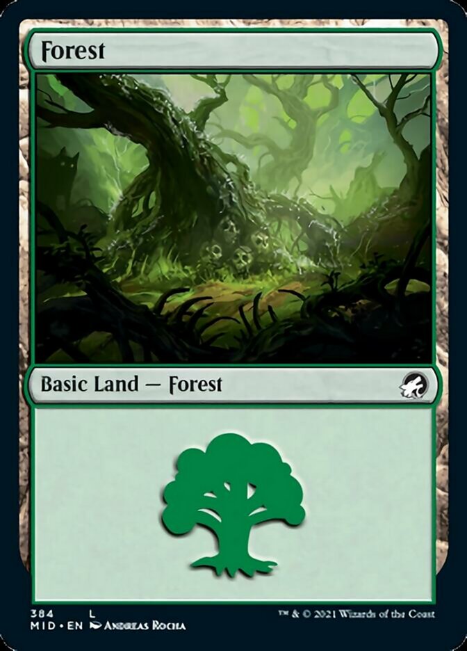 Forest (384) [Innistrad: Midnight Hunt] | Game Master's Emporium (The New GME)