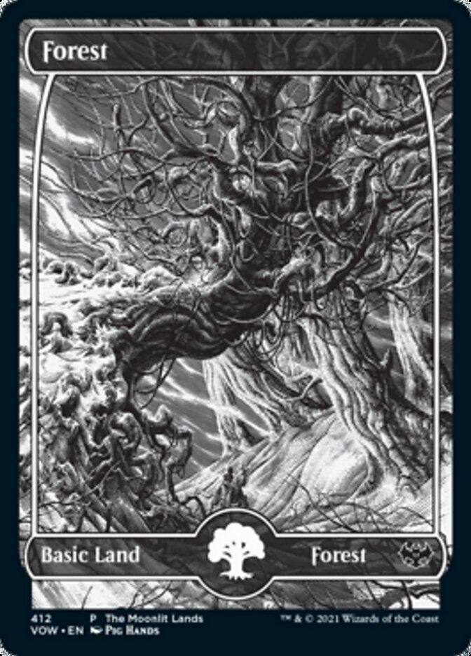 Forest (The Moonlit Lands) (Foil Etched) [Innistrad: Crimson Vow Promos] | Game Master's Emporium (The New GME)