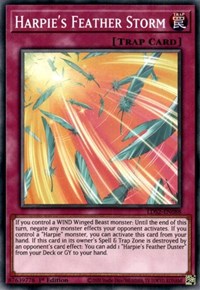 Harpie's Feather Storm [LDS2-EN088] Common | Game Master's Emporium (The New GME)