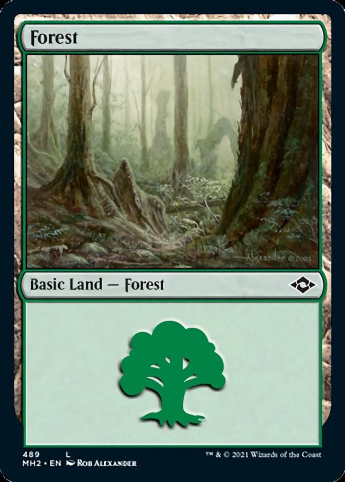 Forest (489) (Foil Etched) [Modern Horizons 2] | Game Master's Emporium (The New GME)