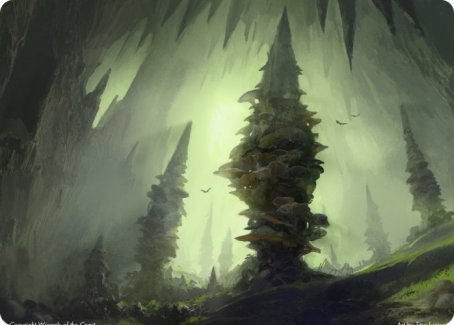 Forest (280) Art Card [Dungeons & Dragons: Adventures in the Forgotten Realms Art Series] | Game Master's Emporium (The New GME)