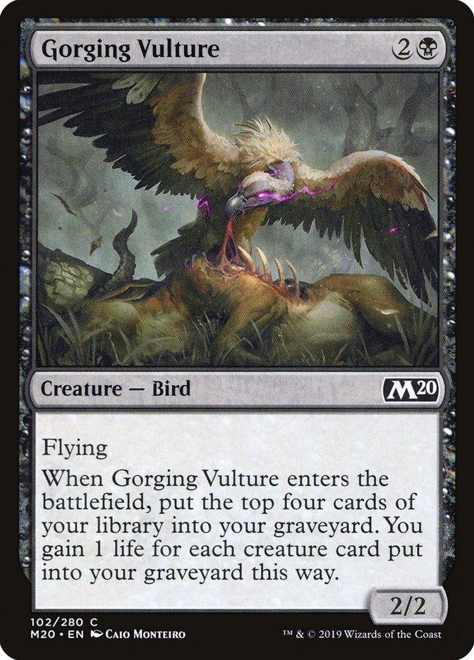 Gorging Vulture [Core Set 2020] | Game Master's Emporium (The New GME)