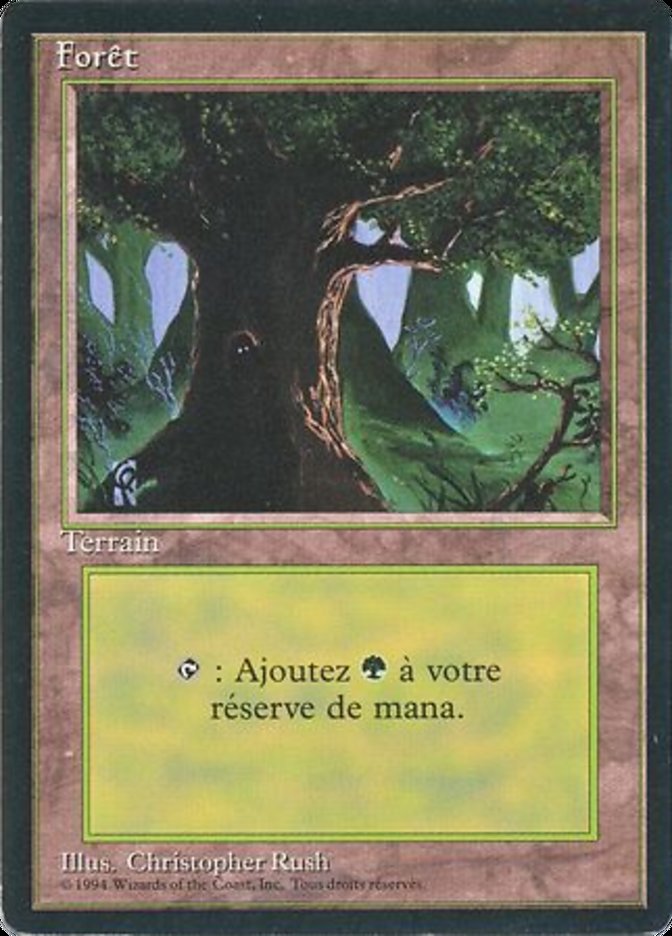Forest (C) [Foreign Black Border] | Game Master's Emporium (The New GME)