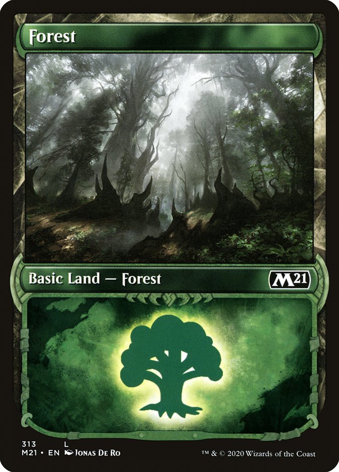 Forest (313) (Showcase) [Core Set 2021] | Game Master's Emporium (The New GME)