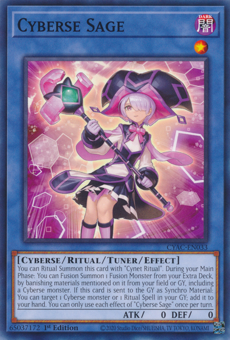 Cyberse Sage [CYAC-EN033] Common | Game Master's Emporium (The New GME)