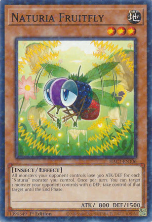 Naturia Fruitfly (Duel Terminal) [HAC1-EN106] Common | Game Master's Emporium (The New GME)