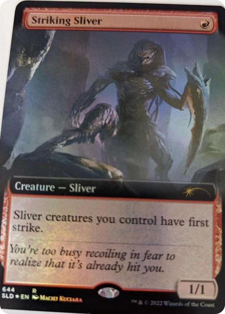 Striking Sliver (Extended Art) [Secret Lair Drop Series] | Game Master's Emporium (The New GME)