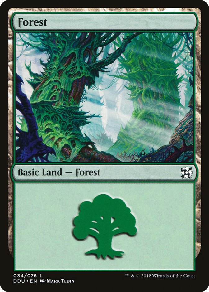 Forest (34) [Duel Decks: Elves vs. Inventors] | Game Master's Emporium (The New GME)
