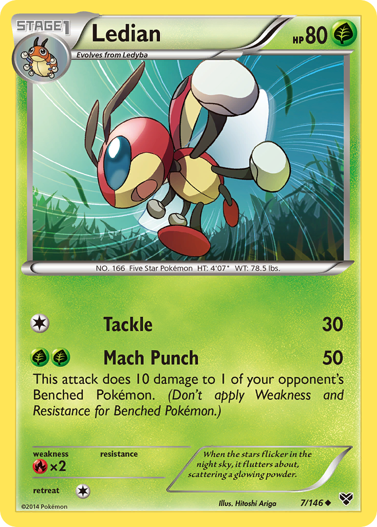 Ledian (7/146) [XY: Base Set] | Game Master's Emporium (The New GME)