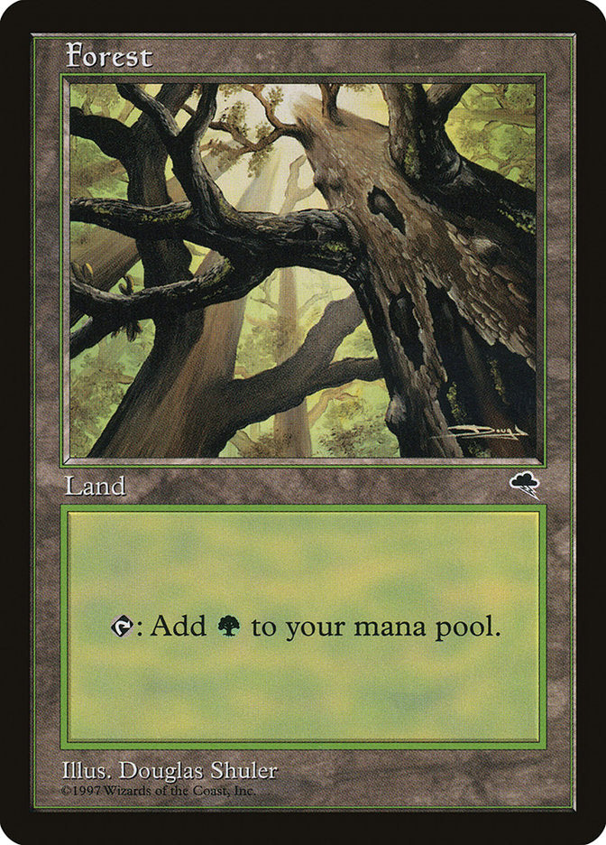 Forest (Looking from Below) [Tempest] | Game Master's Emporium (The New GME)