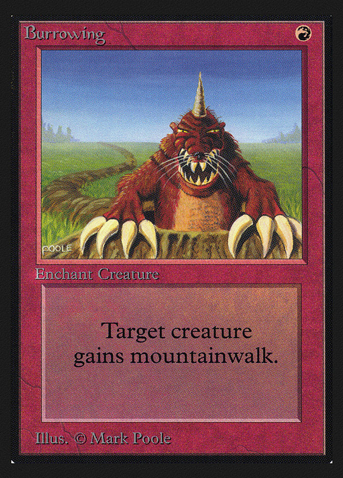 Burrowing [Collectors' Edition] | Game Master's Emporium (The New GME)
