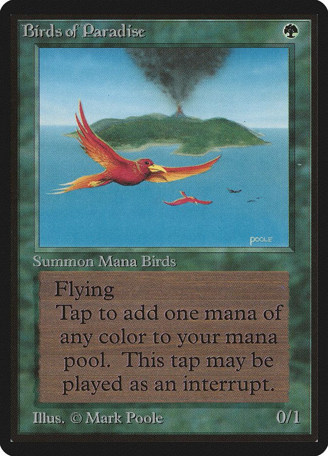 Birds of Paradise [Beta Edition] | Game Master's Emporium (The New GME)